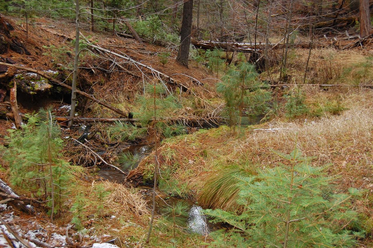 Вилла 6S Fretzs Den South Wawona Экстерьер фото